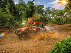 Top Viator Experiences Every Traveler Should Try Once